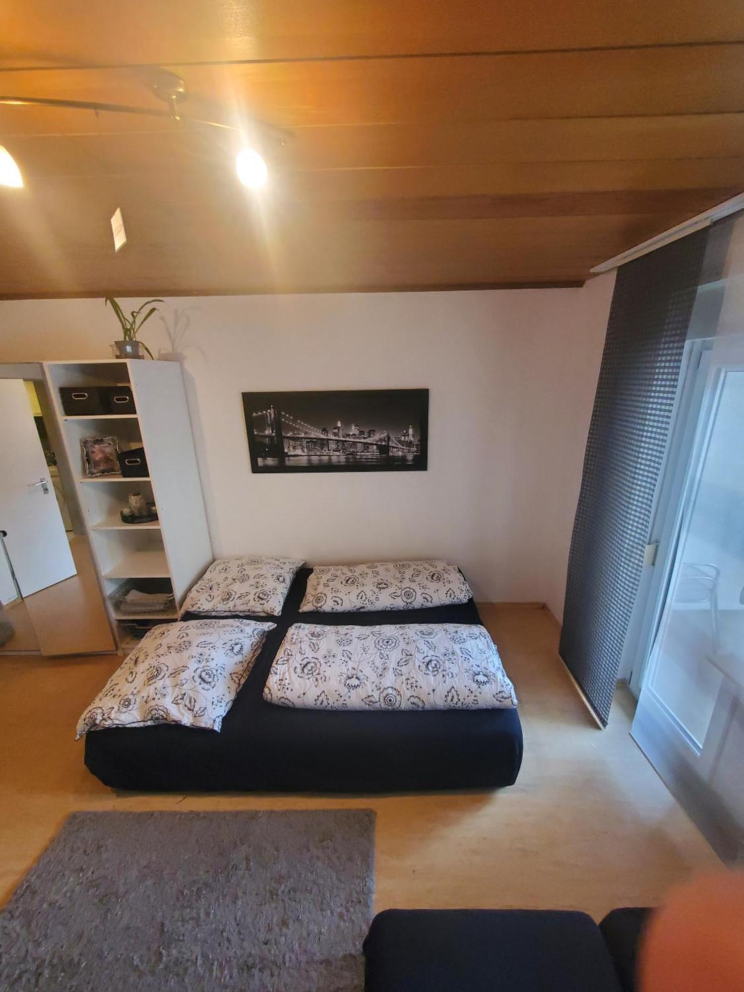 Einzimmerwohnungmit Grossem Balkon Mietersheim Exterior foto